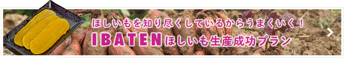 茨城店舗設備(IBATEN) ほしいも生産成功プラン